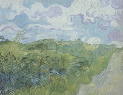 Vincent Van Gogh Green Wheat Fields (nn04)